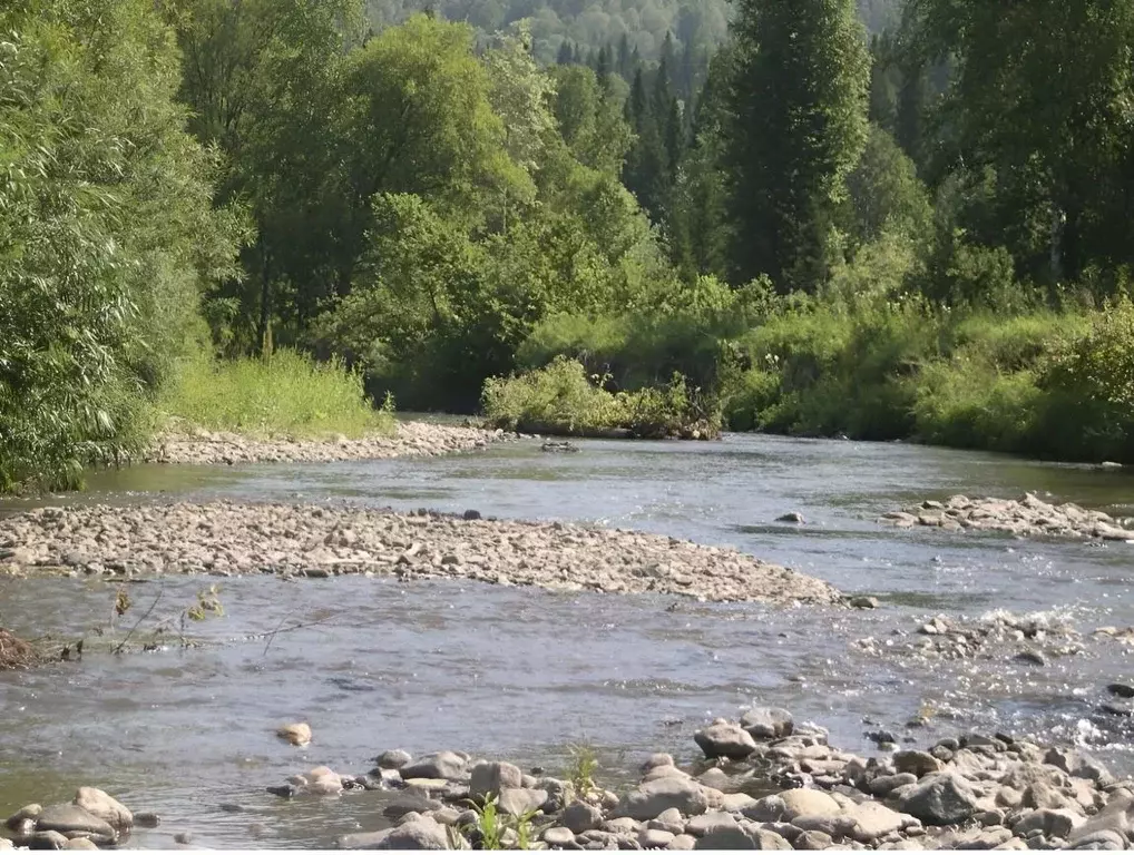 Участок в Алтай, Чойский район, с. Паспаул Заречная ул. (7.0 сот.) - Фото 1