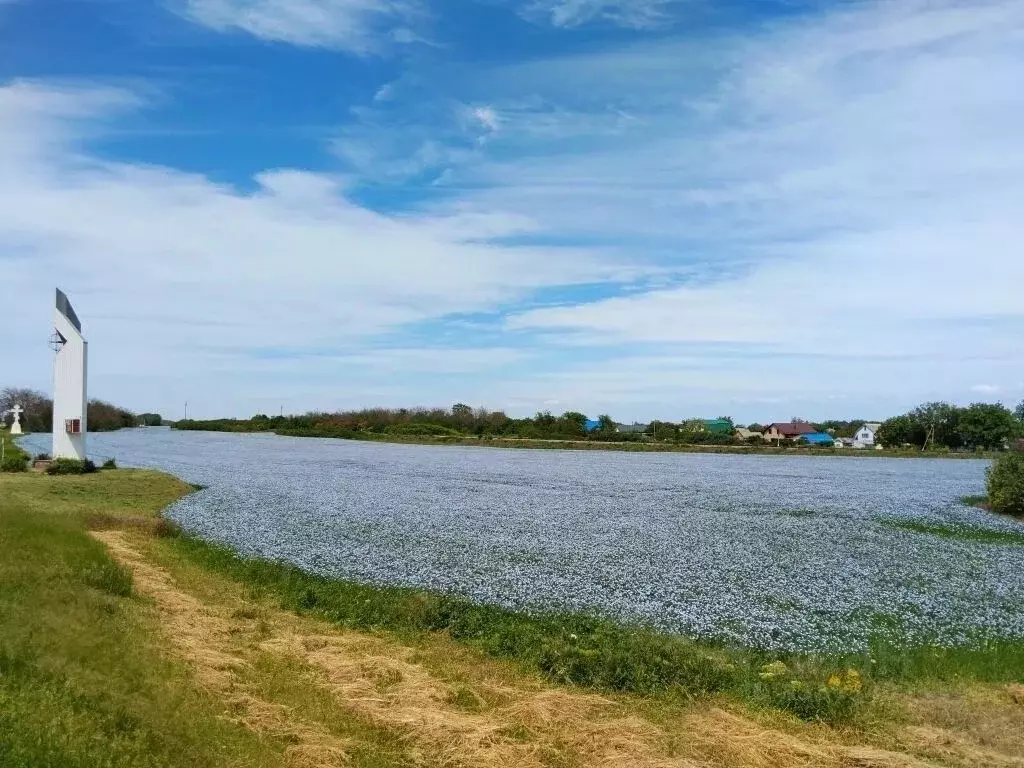 Участок в Краснодарский край, Ейск Красная Звезда СНТ, 21 (6.0 сот.) - Фото 1