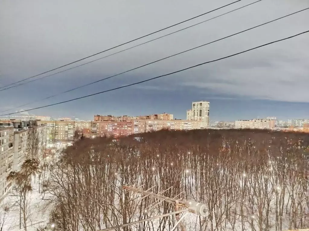 1-к кв. Самарская область, Самара Ново-Вокзальная ул., 193 (33.0 м) - Фото 2