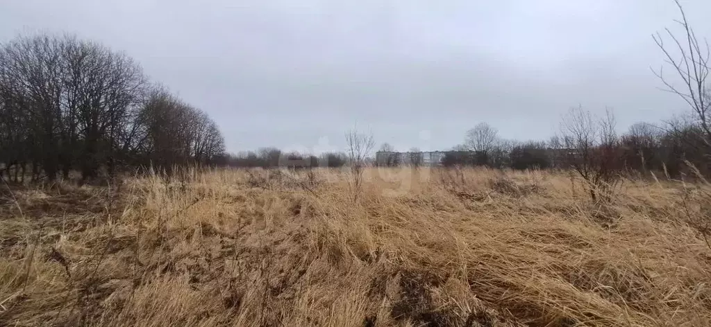 Участок в Вологодская область, Шекснинский муниципальный округ, д. ... - Фото 1