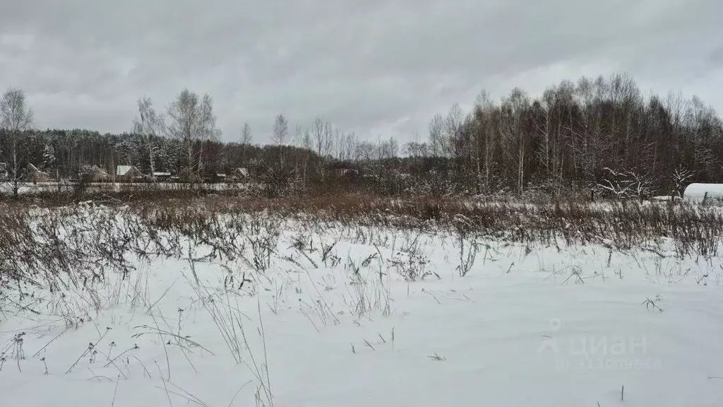 Участок в Московская область, Сергиево-Посадский городской округ, д. ... - Фото 0