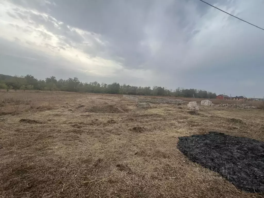 Участок в Белгородская область, Белгород Сухой Лог садоводческий ... - Фото 1