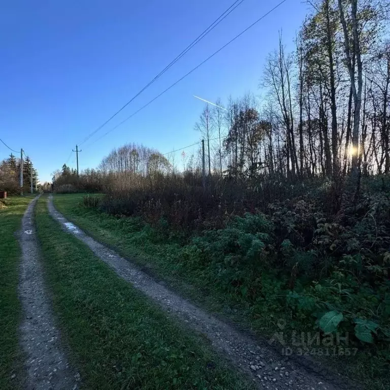 Участок в Ленинградская область, Кингисеппский район, Пустомержское ... - Фото 2