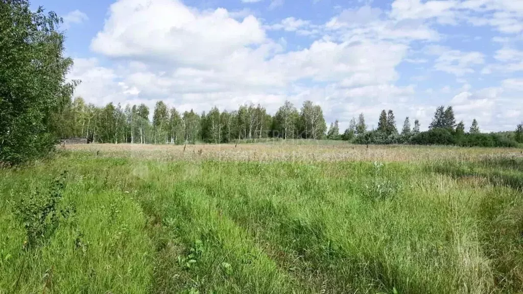 Участок в Тюменская область, Омутинский муниципальный округ, д. ... - Фото 1