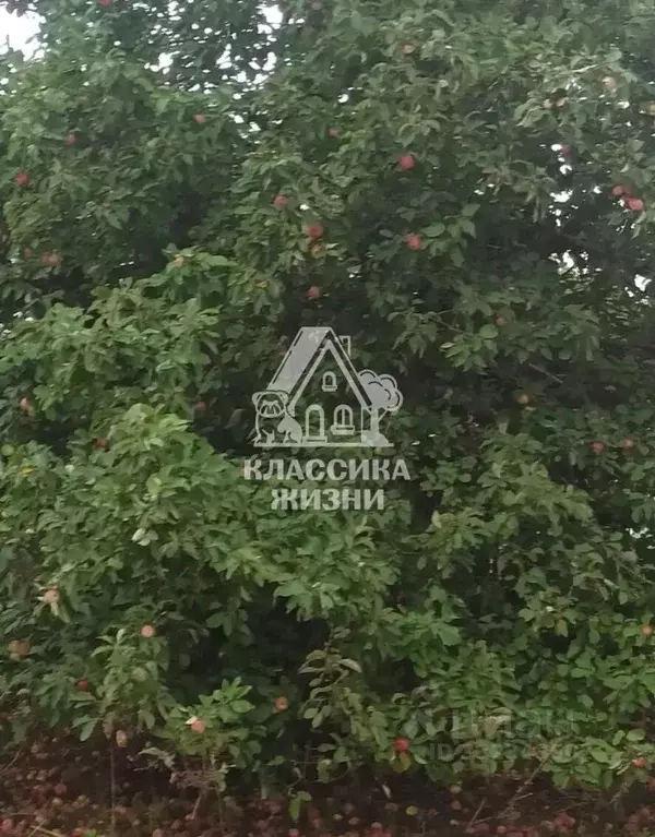 Участок в Нижегородская область, Нижний Новгород городской округ, д. ... - Фото 2