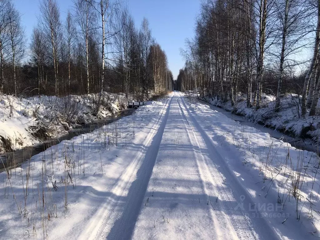 Участок в Ленинградская область, Всеволожский район, Колтушское ... - Фото 0