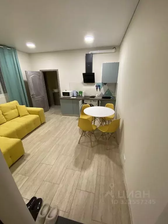 2-к кв. Краснодарский край, Сочи Красная ул., 34Ж (35.0 м) - Фото 1