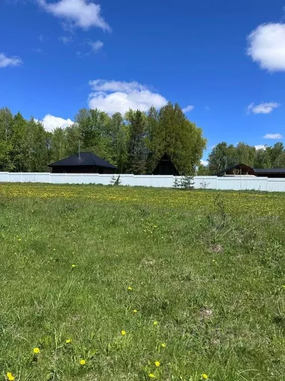 Участок в Брянская область, Брянский район, Добрунское с/пос, с. ... - Фото 2