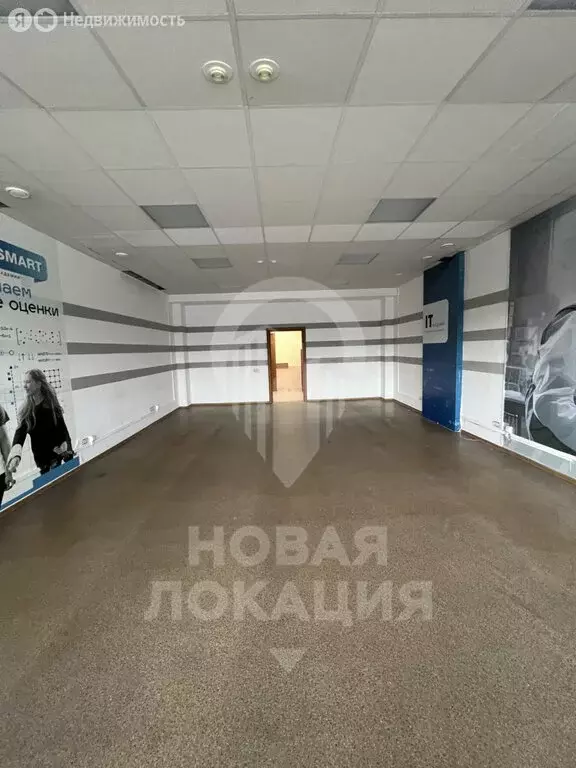 Офис (53.9 м) - Фото 2