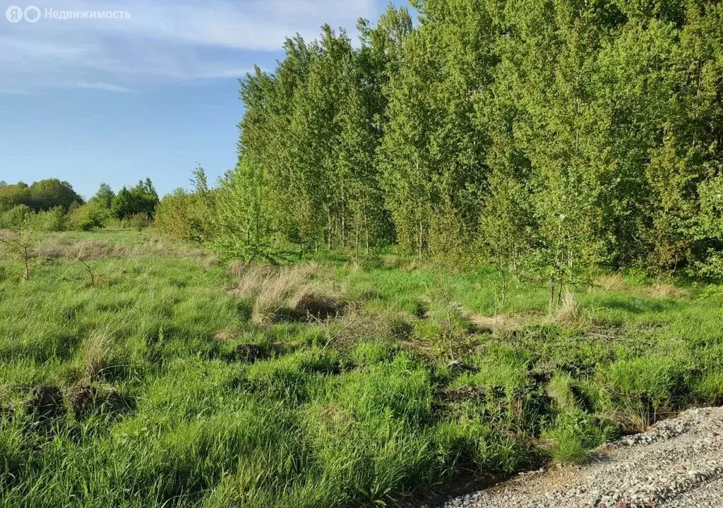 Участок в Светлогорск, Ольховая улица, 32к7 (6.25 м) - Фото 1