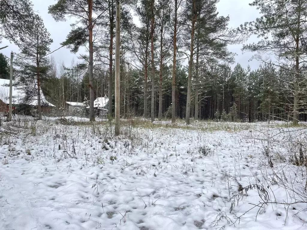 Участок в Ленинградская область, Киришский район, Будогощь пгт ул. ... - Фото 1