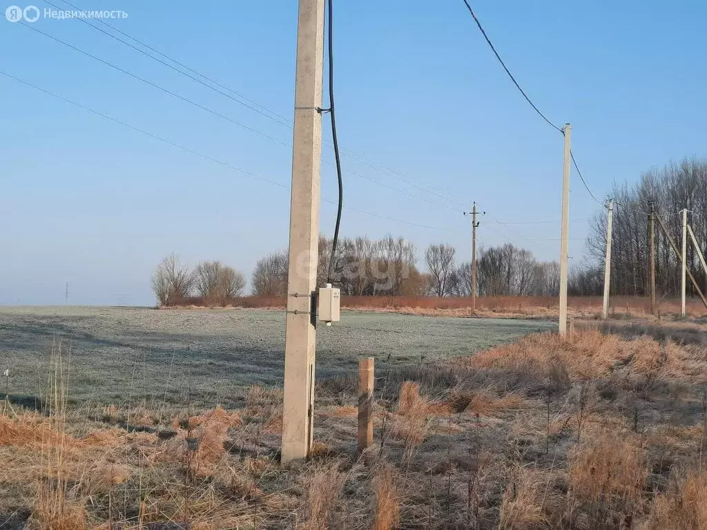 Участок в Калининградская область, Гурьевский муниципальный округ, ... - Фото 1