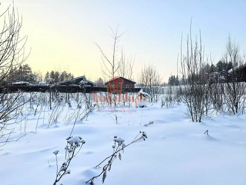 Участок в деревня Большая Чёрная, Речная улица (12 м) - Фото 1