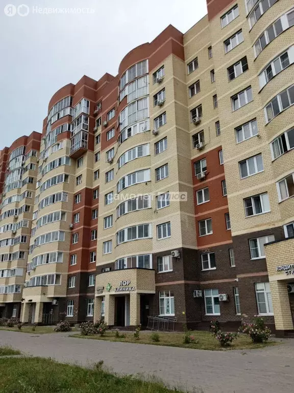 Квартира-студия: Электросталь, бульвар 60-летия Победы, 14 (25 м) - Фото 1