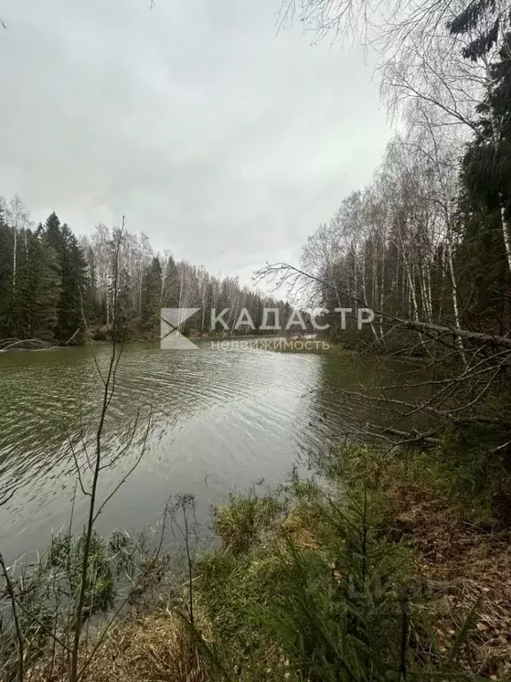 Участок в Нижегородская область, Городецкий муниципальный округ, Залив ... - Фото 0