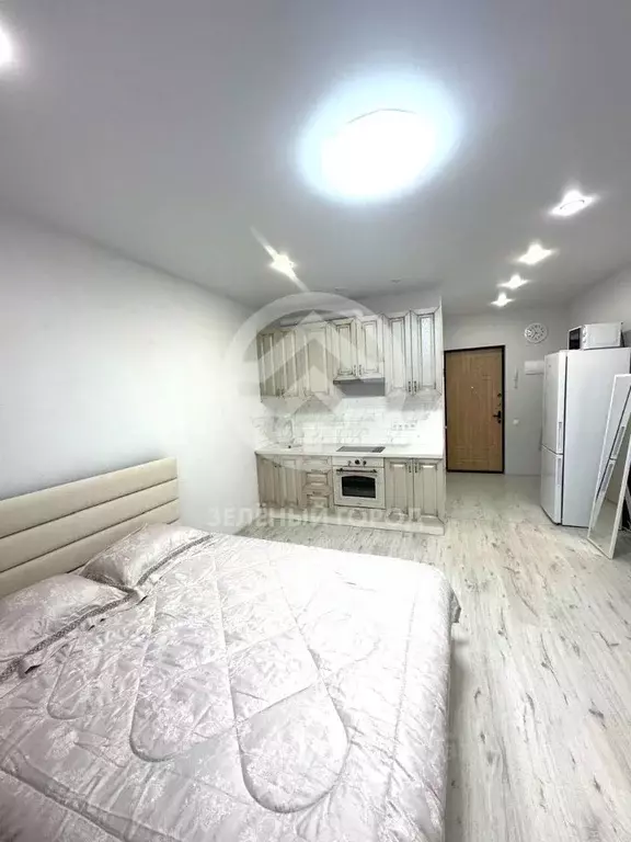 Студия Московская область, Клин ул. Чайковского, 105к2 (25.6 м) - Фото 1