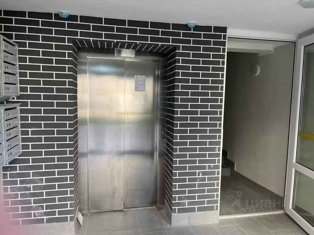 1-к кв. Калининградская область, Светлогорск ул. Рябиновая, 15 (37.0 ... - Фото 2