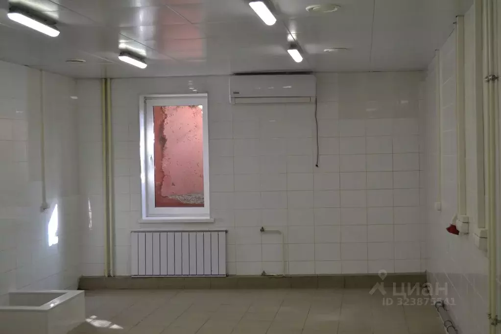 Помещение свободного назначения в Челябинская область, Челябинск ... - Фото 1