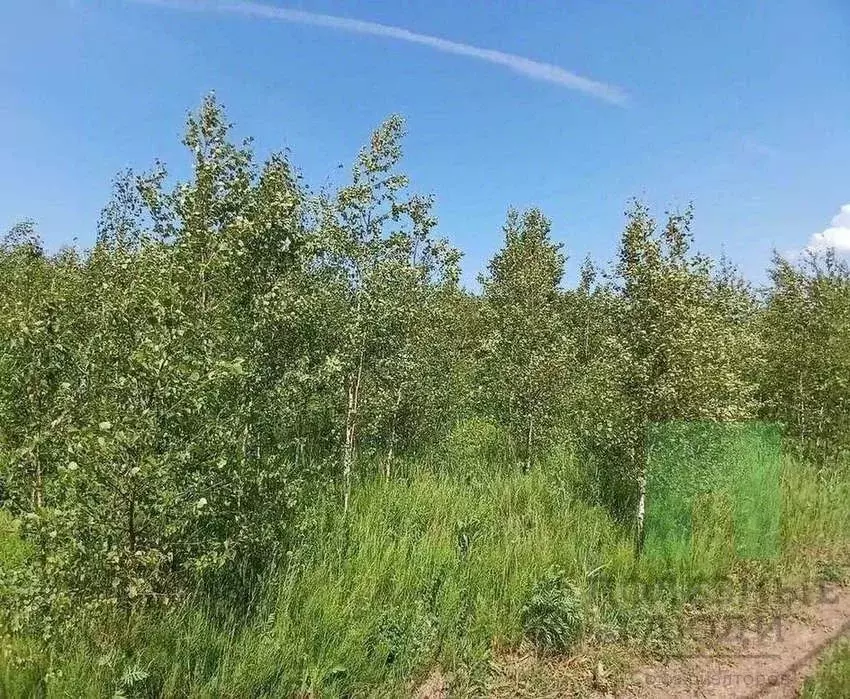 Участок в Марий Эл, Медведевский район, Азяковское с/пос, д. Шеклянур ... - Фото 1