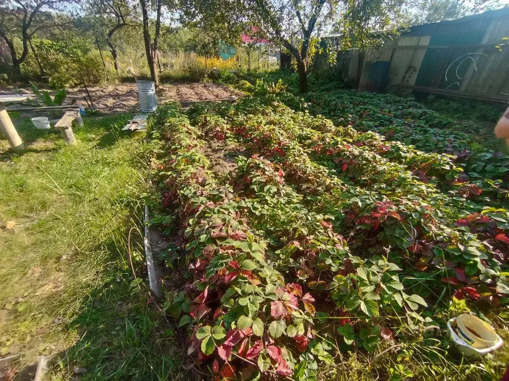 Дом, 18 м - Фото 1