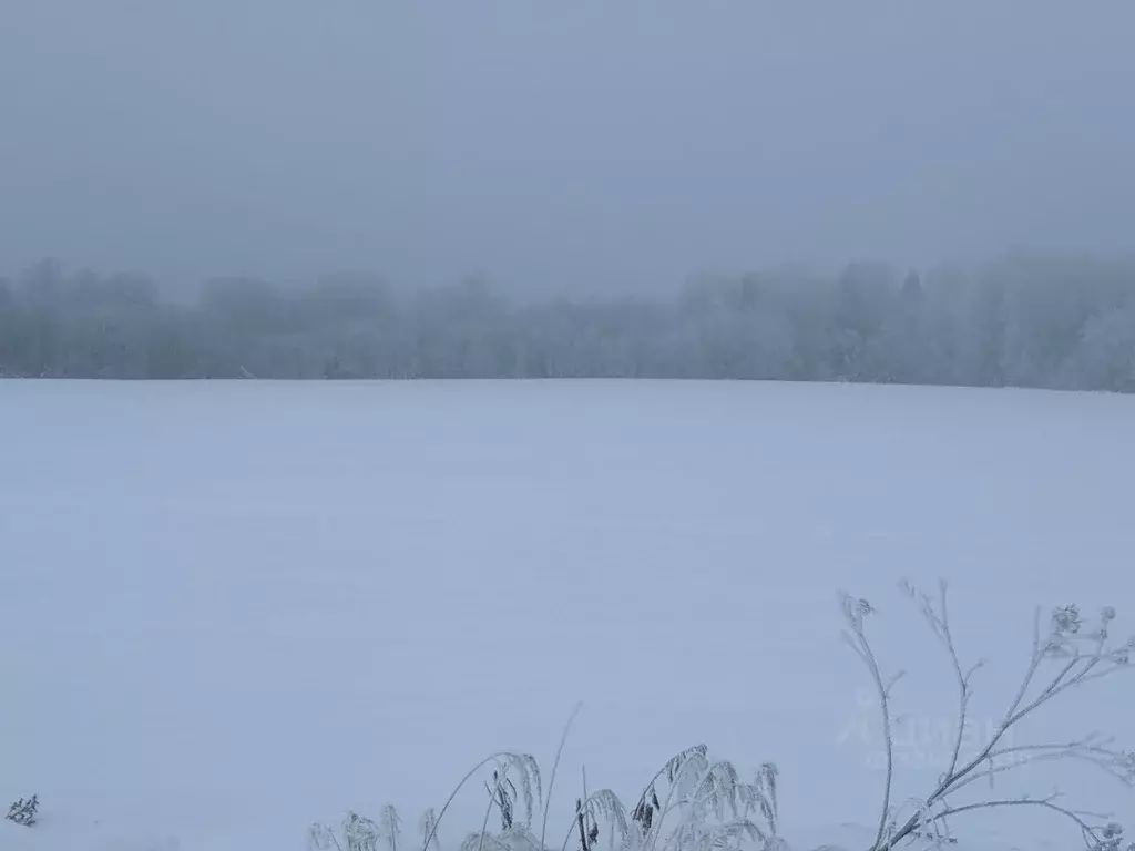 Участок в Московская область, Клин городской округ, д. Парфенькино  ... - Фото 2