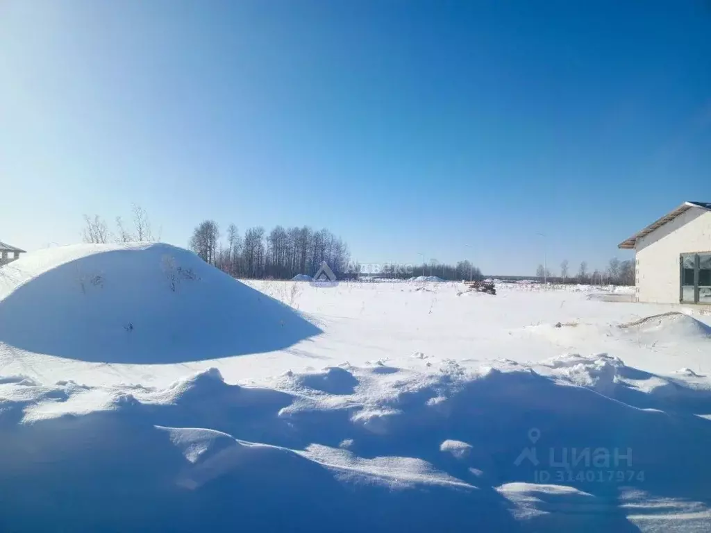 Участок в Тюменская область, Тюменский район, Новокаменский кп ул. ... - Фото 1