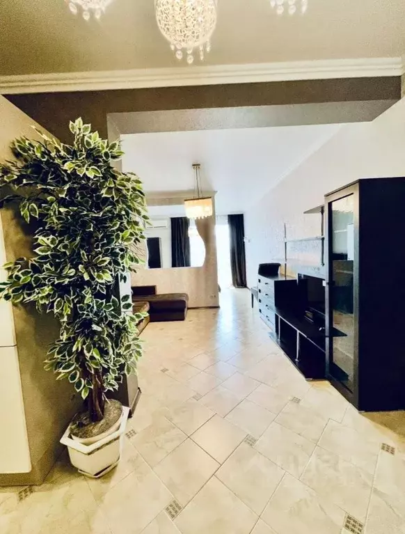 1-к кв. Краснодарский край, Сочи ул. Кирпичная, 2 (52.0 м) - Фото 2