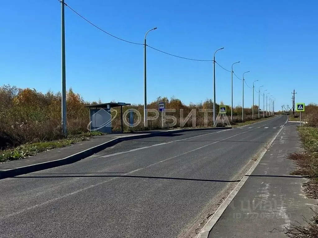 Участок в Тюменская область, Тюмень Царево садовое товарищество, ул. ... - Фото 2