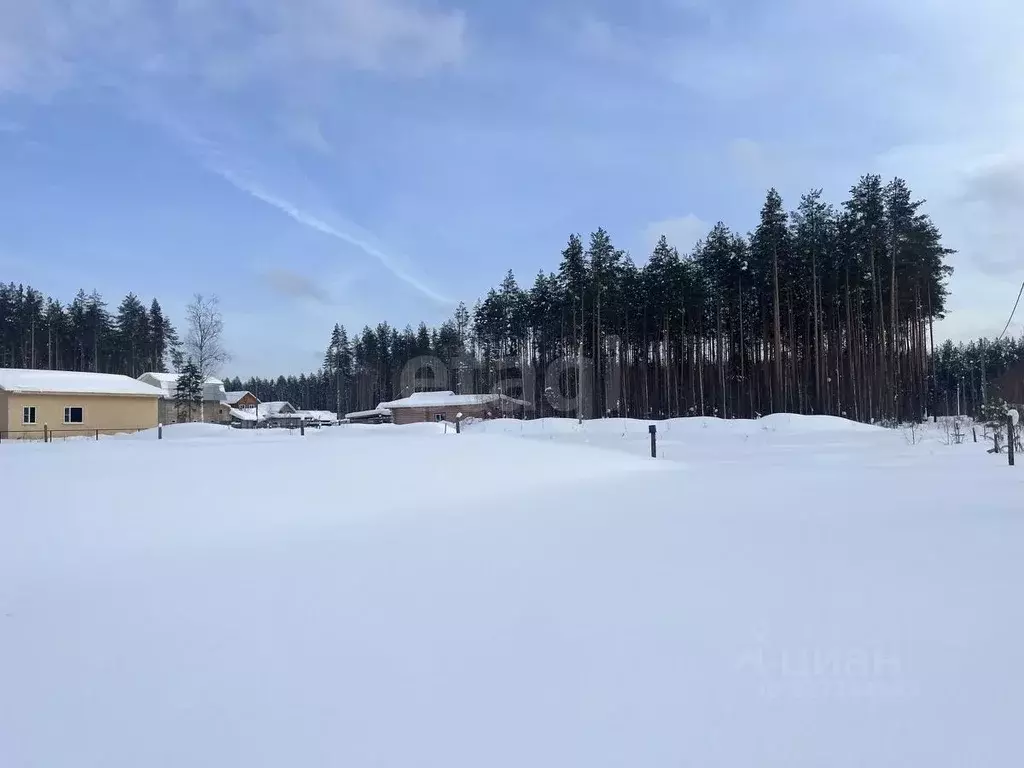Участок в Коми, Сыктывкар городской округ, Краснозатонский пгт ул. ... - Фото 1
