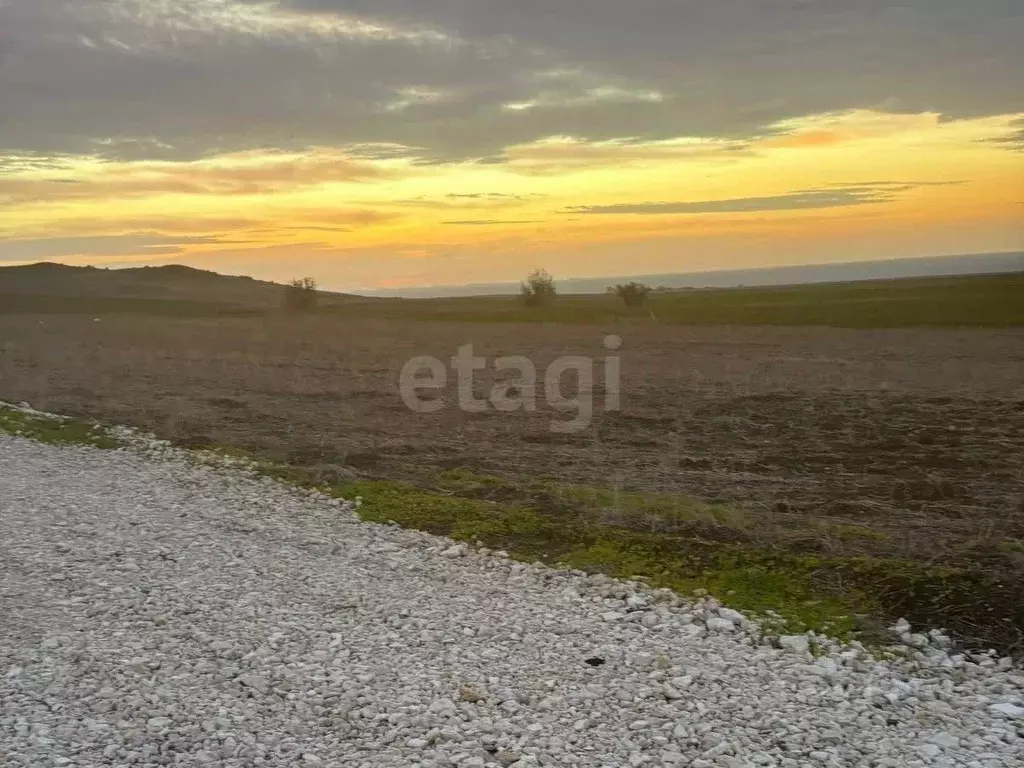 Участок в Крым, Ленинский район, Заветненское с/пос, с. Заветное ул. ... - Фото 1