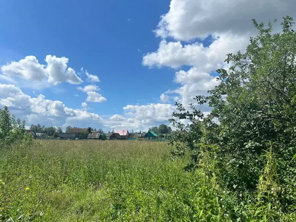 Участок в Башкортостан, Гафурийский район, с. Белое Озеро ул. Ленина ... - Фото 1