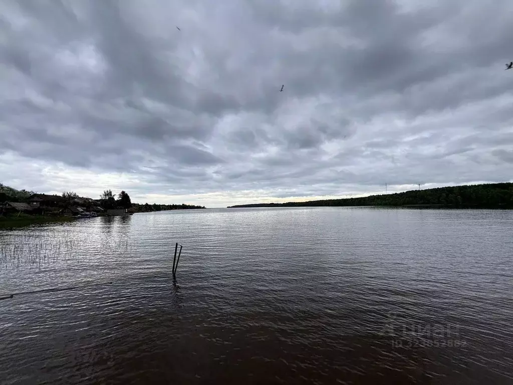 Участок в Карелия, Прионежский район, Заозерское с/пос, д. Ялгуба ул. ... - Фото 1