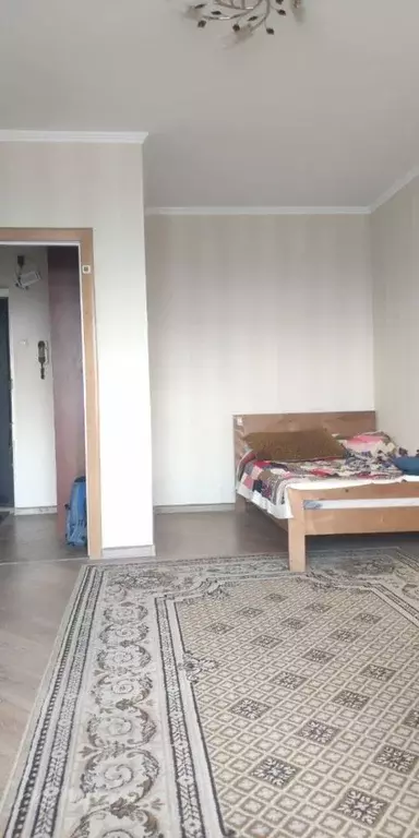 1-к кв. Москва ул. Маршала Бирюзова, 38 (38.0 м) - Фото 1