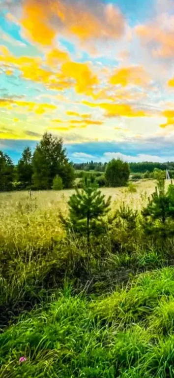 Участок в Московская область, Дмитровский городской округ, д. Базарово ... - Фото 1