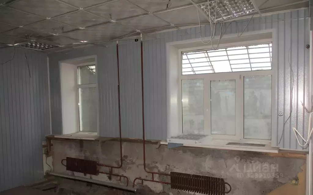 Помещение свободного назначения в Новосибирская область, Новосибирск ... - Фото 1