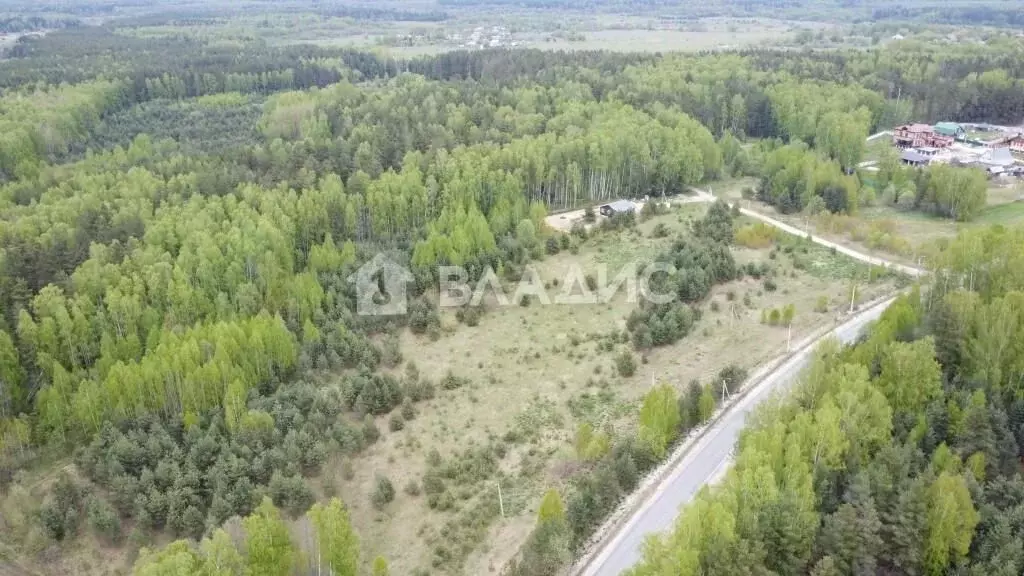 Участок в Владимирская область, Судогодский район, Лавровское ... - Фото 1