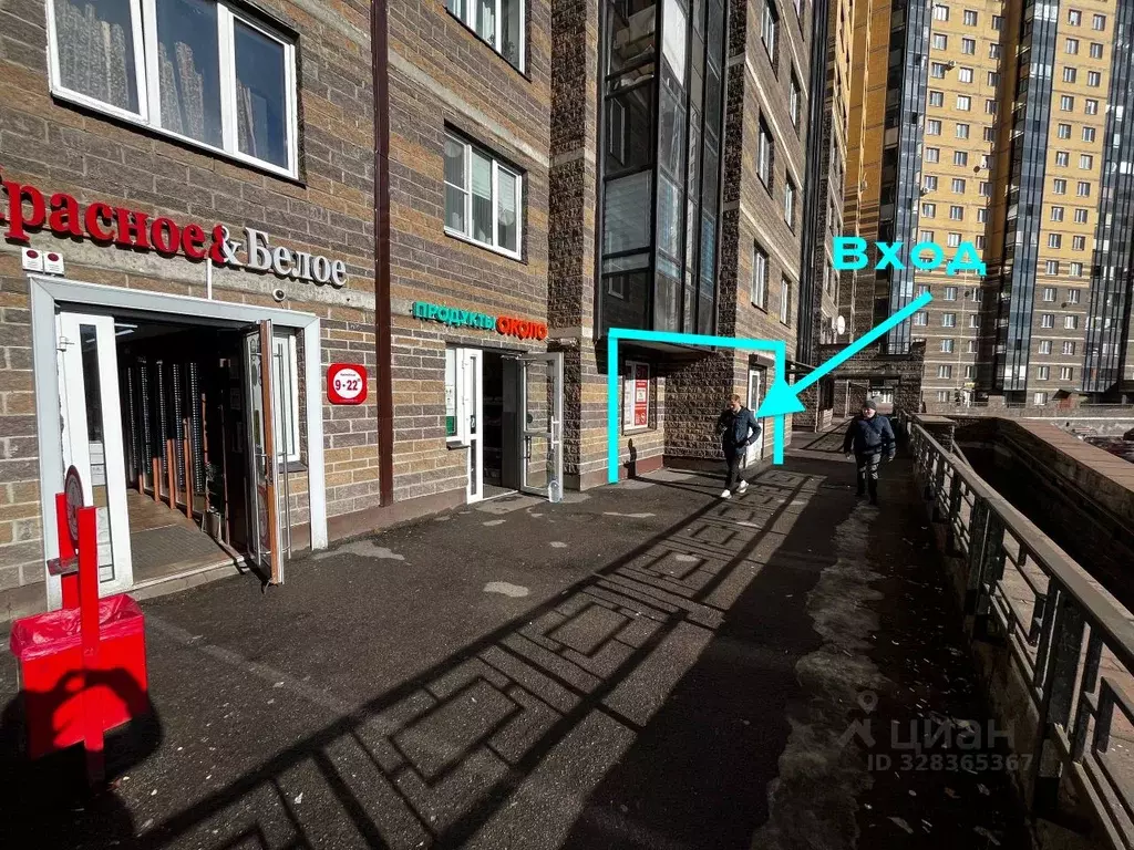 Торговая площадь в Санкт-Петербург пос. Парголово, ул. Николая ... - Фото 1