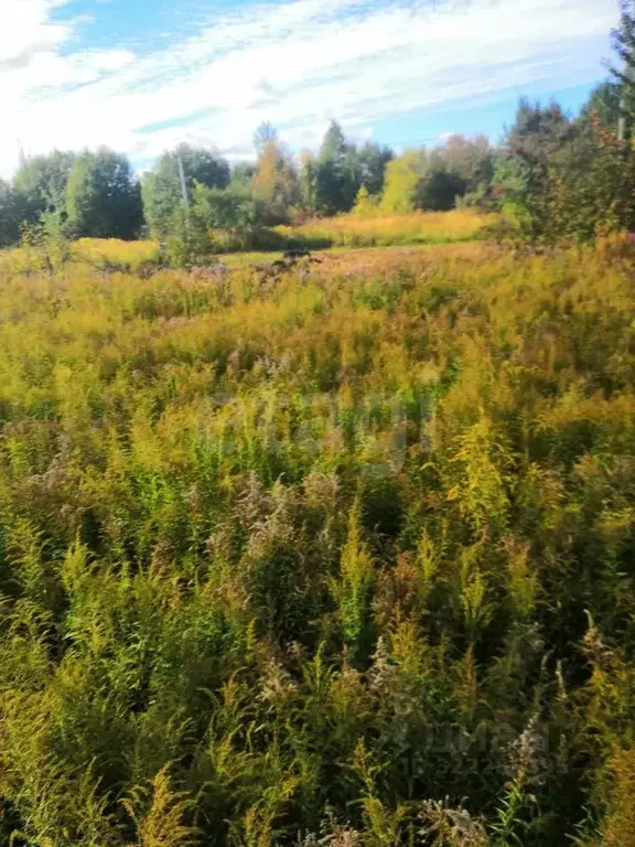 Участок в Брянская область, Брянский район, Снежское с/пос, с. ... - Фото 1