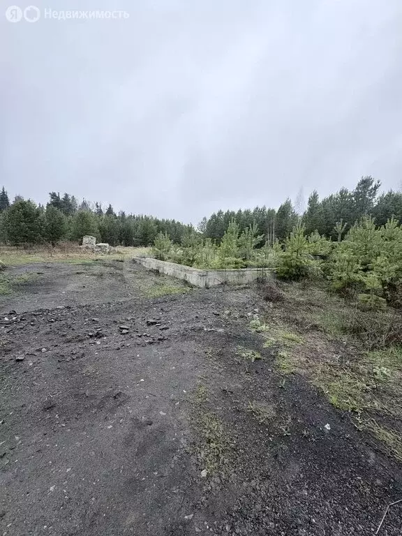 Участок в посёлок городского типа Тугулым, Лесная улица (15 м) - Фото 2