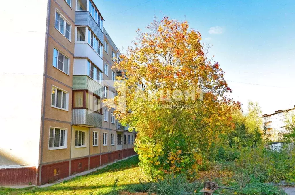 2-к кв. Ивановская область, Кохма ул. Ивановская, 38/2 (43.0 м) - Фото 2