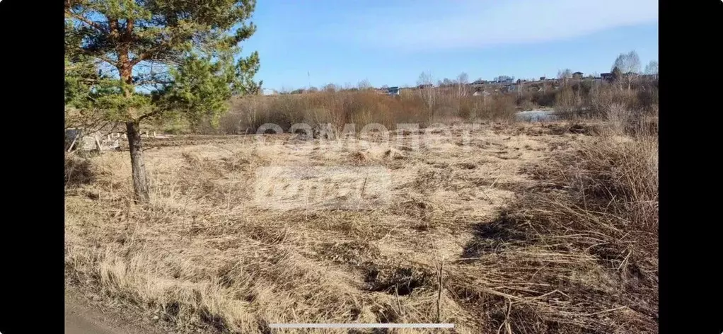 Участок в Вологодская область, д. Митенское (Октябрьский сельсовет)  ... - Фото 2