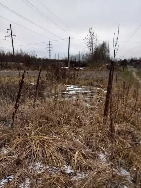 Участок в Вологодская область, Вологда Содема садоводческое ... - Фото 1