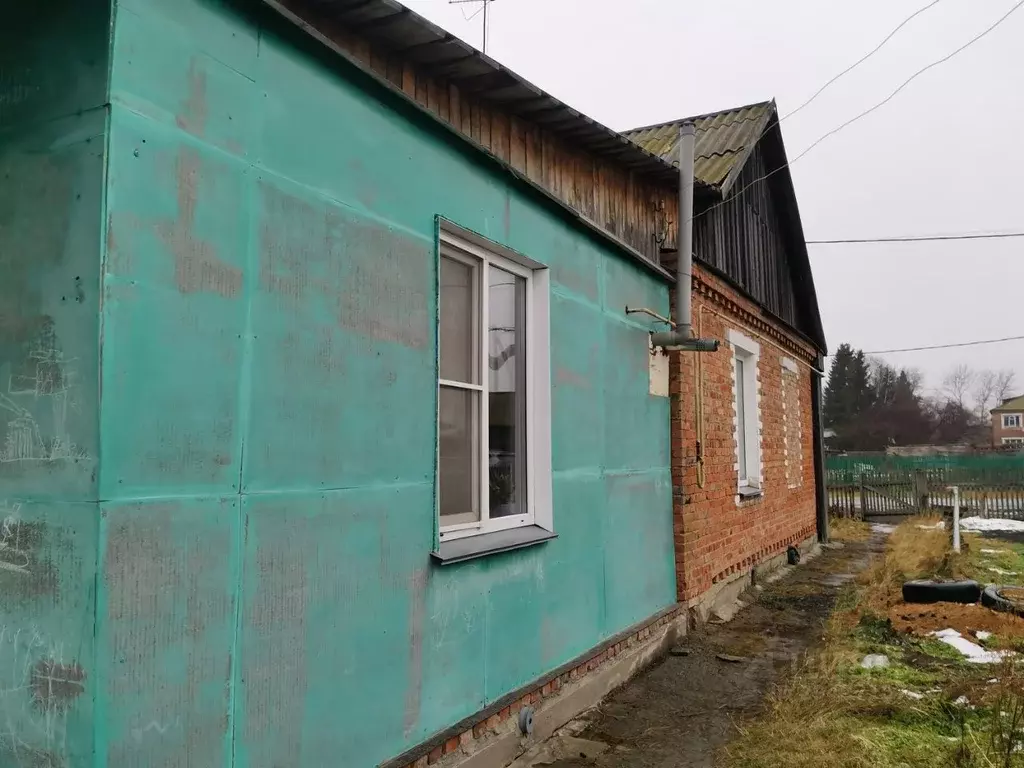 Дом в Омская область, Омский район, Пушкинское с/пос, д. Подгородка ... - Фото 2