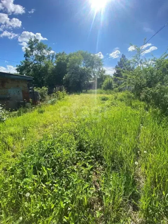 Участок в Амурская область, Благовещенский район, с. ... - Фото 1