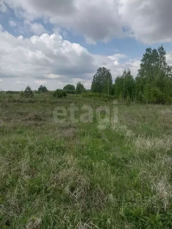Участок в Красноярский край, Емельяновский муниципальный округ, ... - Фото 1