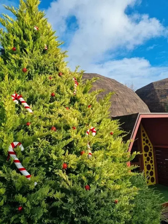 Дом в Краснодарский край, Анапа муниципальный округ, Благовещенская ... - Фото 1