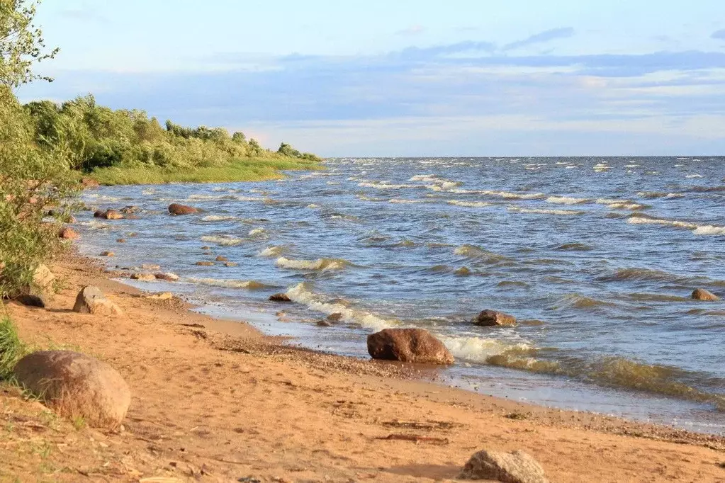 Участок в Псковская область, Гдовский район, д. Надозерье  (41.0 сот.) - Фото 0