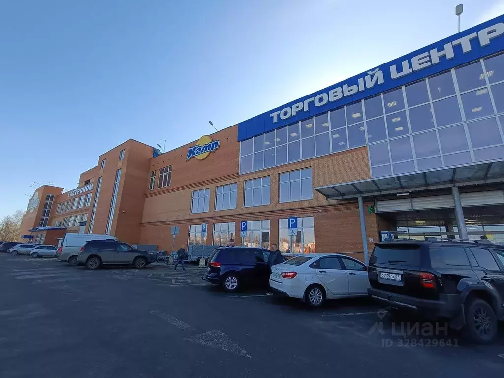 Помещение свободного назначения в Московская область, Домодедово ... - Фото 1