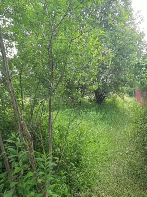 Участок в Московская область, Можайский муниципальный округ, д. ... - Фото 1