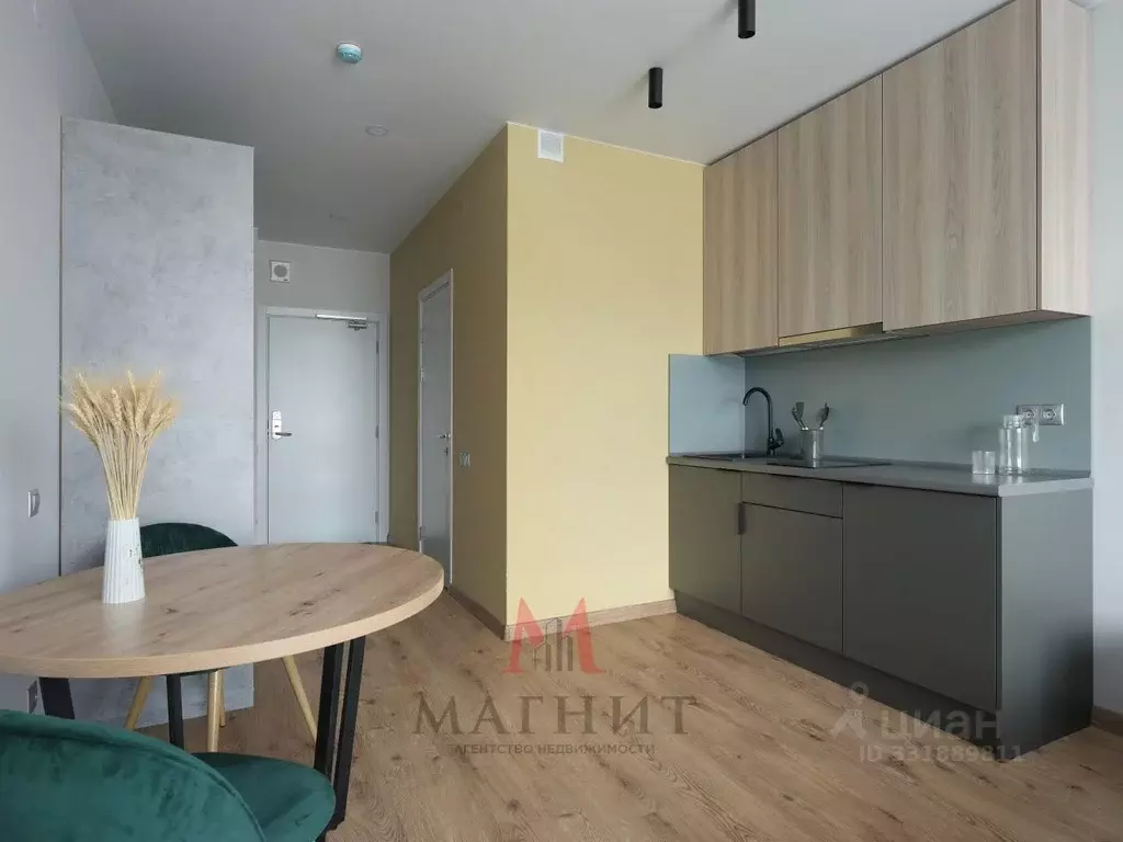 Студия Санкт-Петербург дор. На Турухтанные острова, 5к1 (25.5 м) - Фото 1